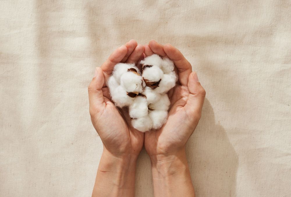 comparing egyptian cotton with regular cotton