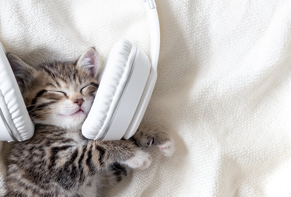 一夜酣睡：睡前聽音樂和白噪音對嬰兒睡眠的好處 