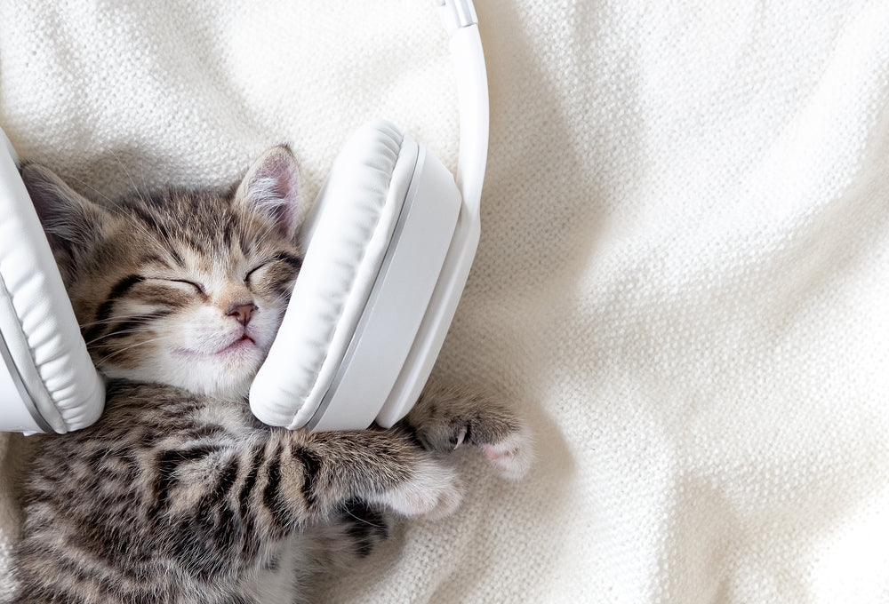 Sweet Dreams: The Benefits of Bedtime Music and White Noise for Infants’ Sleep 