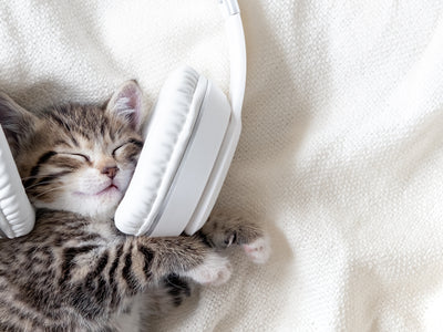 Sweet Dreams: The Benefits of Bedtime Music and White Noise for Infants’ Sleep 