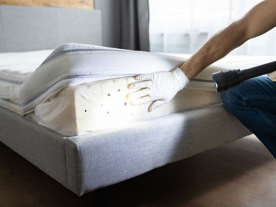 How to Check For Bed Bugs: A Quick Guide