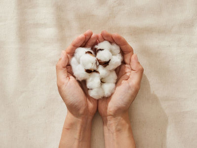 comparing egyptian cotton with regular cotton