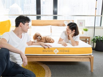 Bed Frame Buying Guide 2025: How to Choose a Perfect Bed Frame in Hong Kong