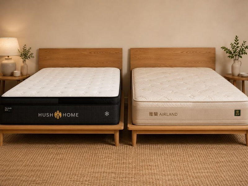 Hush Home vs Airland / 雅蘭