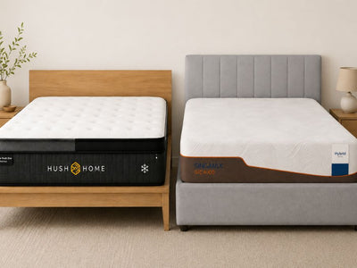 Hush Home vs SINOMAX: Which Mattress Is Right for You?
