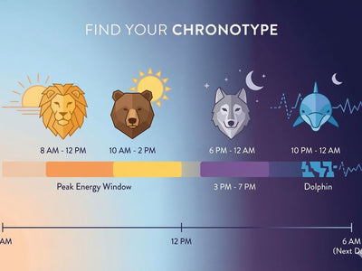 What Are Chronotypes? Are You a Lion, Bear, Wolf or Dolphin?