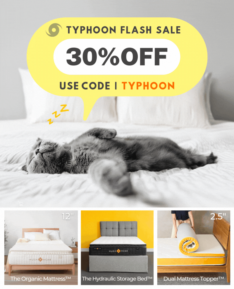 typhoon flash sale the best mattress, pillows, bed frames, bed sheets, duvet and bedding store in Hong Kong by hush Home