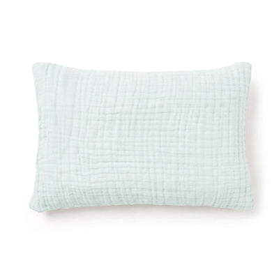 The Little Organic Pillowcase (Save $30)