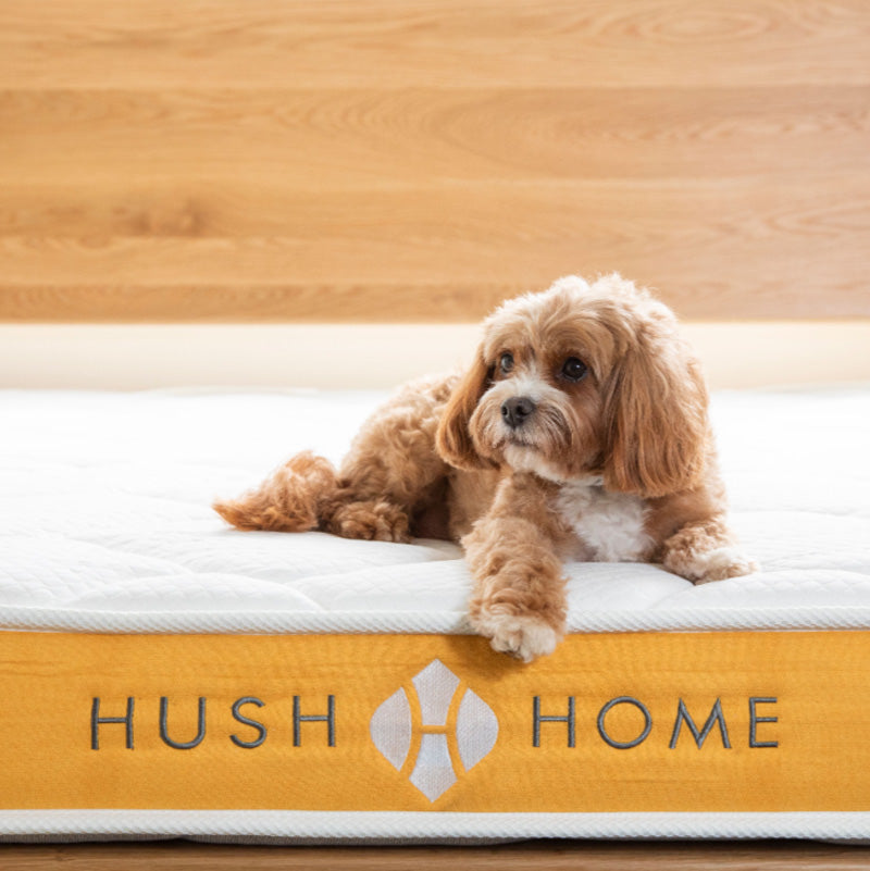 pocket spring mattress Hong Kong