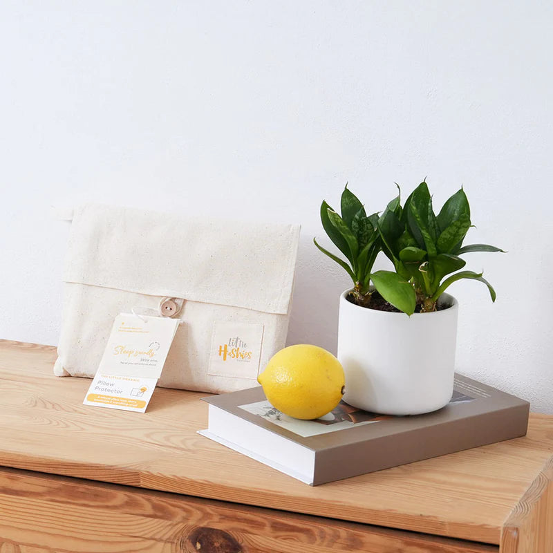 Best pillow protectors sale